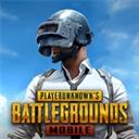 pubg国际服手游官方正版